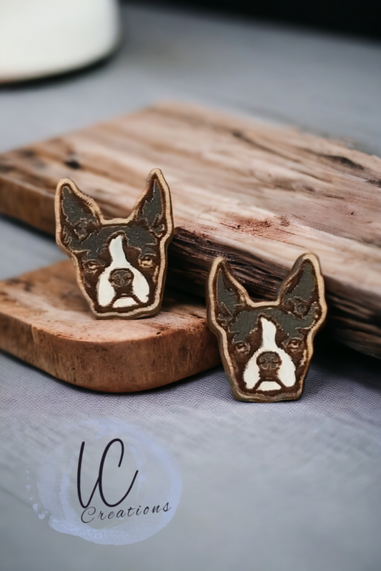 Boston Terrier